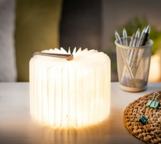 Gingko GK12F-BN8 Винница