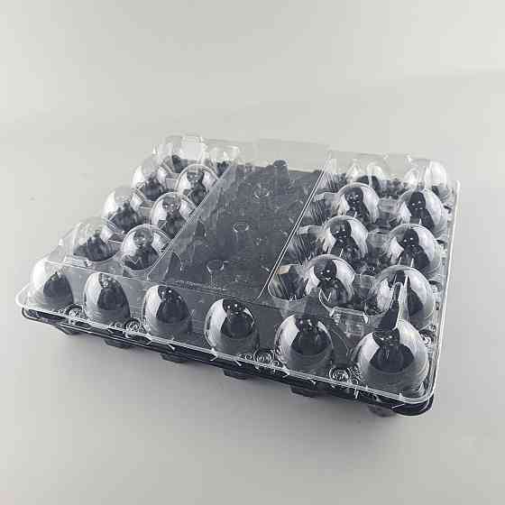 Комплект упаковки  для куриных яиц 30 ячеек верх прозрачная+низ черная  (50 шт) Харьков