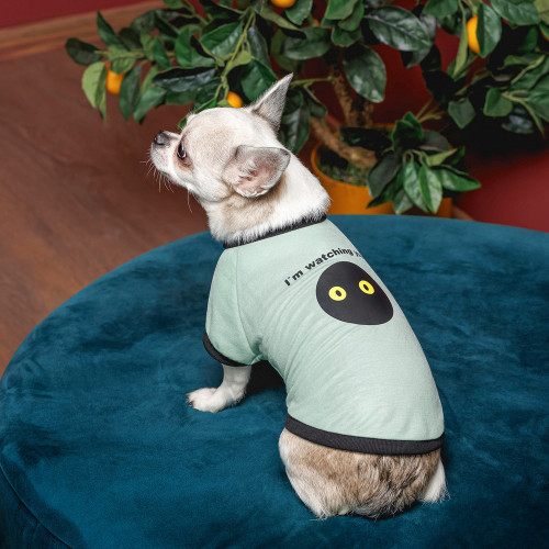 Футболка Pet Fashion Oscar для собак бавовна трикотаж рібана блакитна S Київ - фото 4
