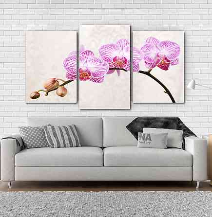 Модульна картина Квіти Орхідея Art-138_3 Київ