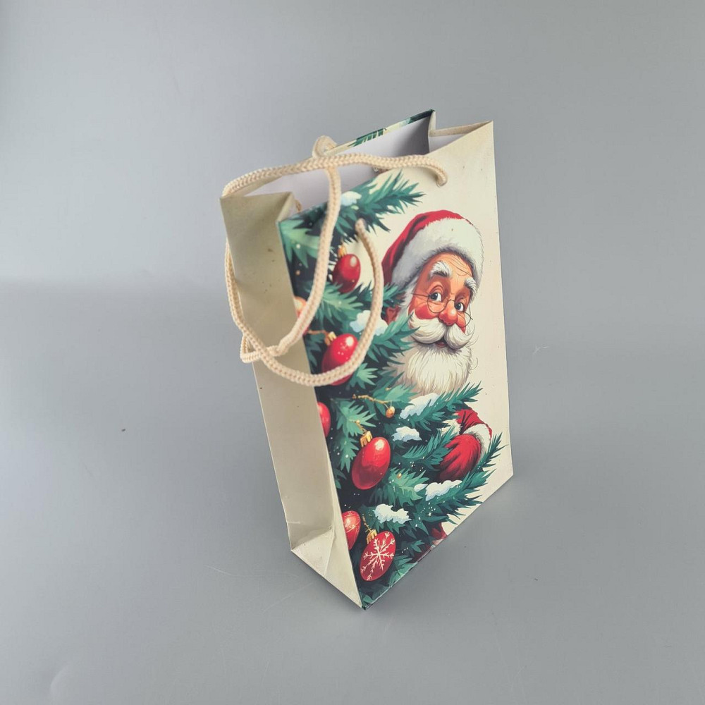 Пакеты новогодние ,бумажные ,подарочные , Малый 11/18/5 -003 (12 шт) Харьков - изображение 3