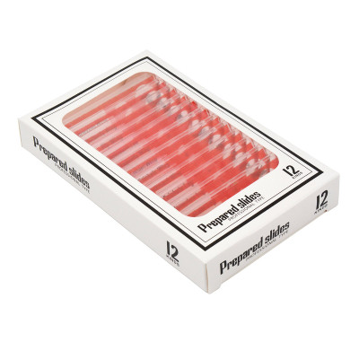 Набір мікропрепаратів Sigeta Entrance Будова комах (12 шт) (65122) Вінниця - фото 1