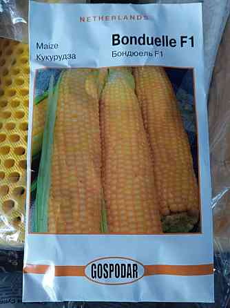 Кукуруза сахарная  