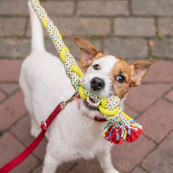 Іграшка Trixie для собак Ігровий канат плетінь текстиль 50 см Київ