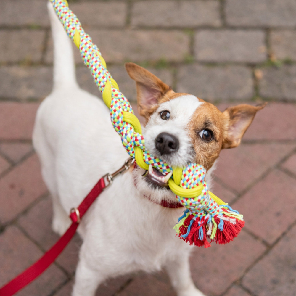 Іграшка Trixie для собак Ігровий канат плетінь текстиль 50 см Київ - фото 4