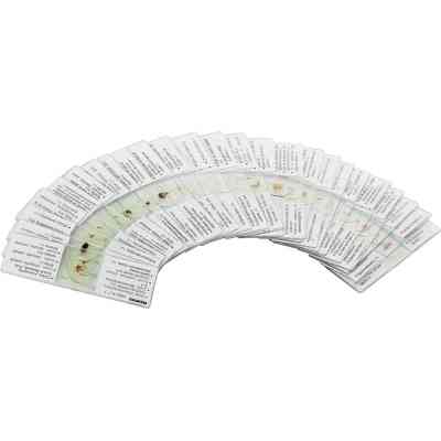 Набор микропрепаратов Konus Загальна Біологія Зоологія, безхребетні і комахи 25 шт (4977) Винница