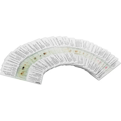 Набор микропрепаратов Konus Загальна Біологія Зоологія, безхребетні і комахи 25 шт (4977) Винница - изображение 3