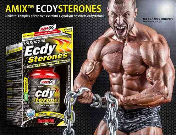 Бустер тестостерона Amix Nutrition Ecdy-Sterones 90cps BOX Луцк