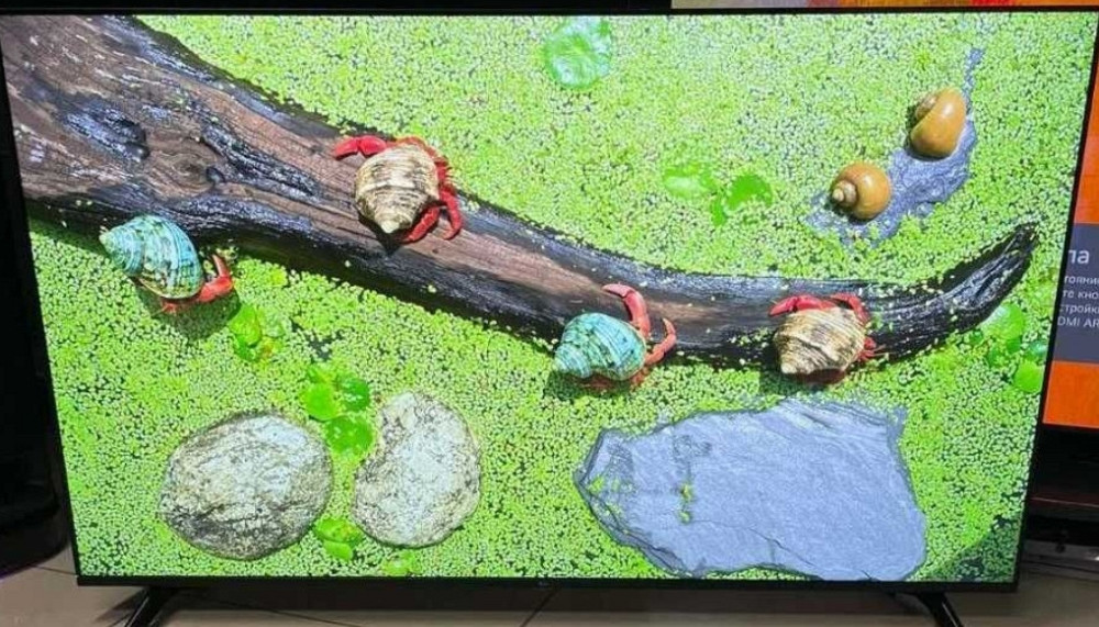 Телевізор Безрамний: 65" (2023) HDR 4K UHD LG 65UR7300. Харків - фото 1