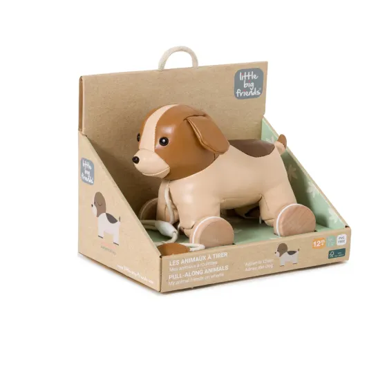 Інтерактивна іграшка-каталка Little Big Friends — Песик Адрієн Луцк