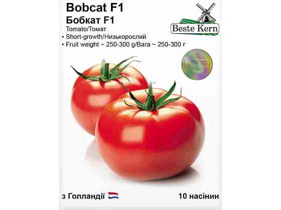 Томат Бобкат F1 (10 семечек)/(5 пачек в упаковке) ТМ Beste Kern Киев