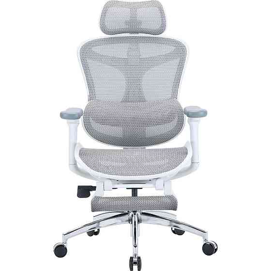 Кресло офисное Sihoo Doro C300L Mesh White with footrest (Doro-C300L-A3-102-JT) ( 14112 ) Харьков