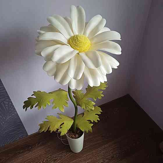 Мініторшер_Ромашка Дніпро