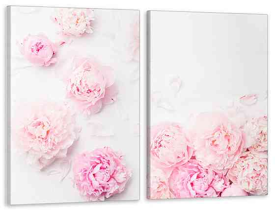 Модульная картина в гостиную / спальню  Ніжні піони   TLV-2_047 Київ