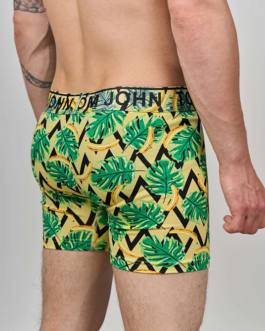 Боксери чоловічі Tom John - Листя 2200-9 XXL Київ - фото 4