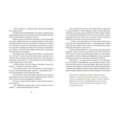Книга Єнот Ракета та інші герої - Євгенія Завалій Видавництво Старого Лева (9789664481868) Вінниця - фото 4