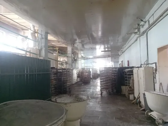 Продам діючий Хлібзавод, під ключ. Повністю налаштований бізнес-процес включаючи: 1616 м2 будівель, 84 соток землі. 85 чоловік персоналу. Дніпро
