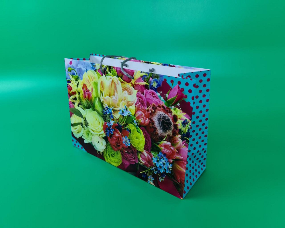 Бумажный большой горизонтальный пакет  36/22/10(артBG-111) (12 шт) Харьков - изображение 1