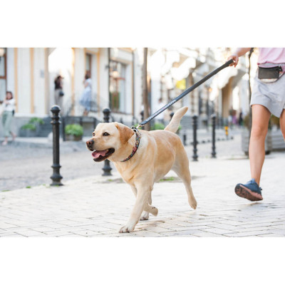 Нашийник для тварин WAUDOG Design з QR паспортом "Пончики" Ш 25 мм Д 38-49 см чорний (37131) Вінниця - фото 7