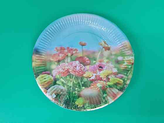 Тарілка паперова 23 см "No65 10 шт (1 пачка) Харків