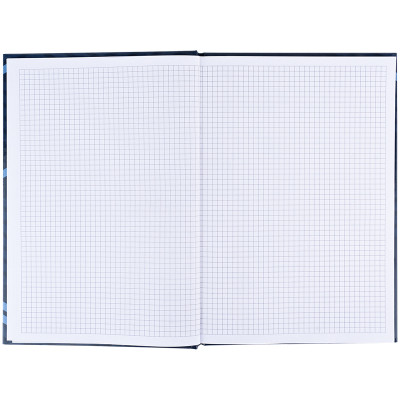 Книга записная Axent Lines А4, 96 листов, клетка, синяя (8422-581-A) Винница - изображение 4