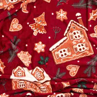 Плед Ardesto Christmas Flannel 160х200см, 100% поліестер, імбирні будиночки (ART0121PB) Вінниця
