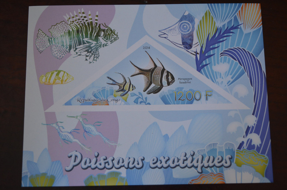 Конго. Фауна. Личности. Блок. 2014 р. (А-34) Полтава - фото 1