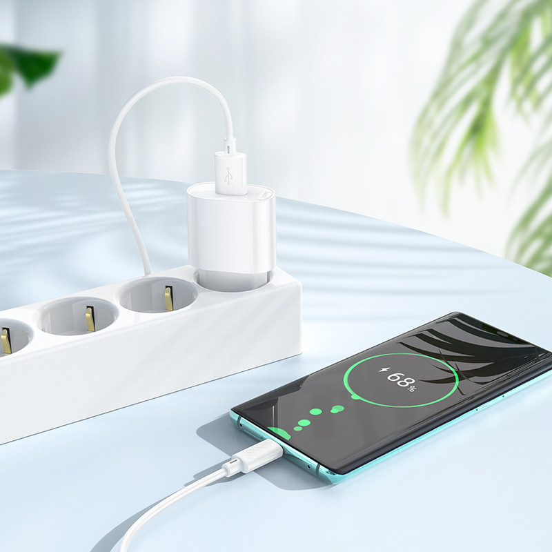 Сетевое зарядное устройство с кабелем HOCO C109A(10.5W) Fighter single port charger set(Type-C) White Одесса - изображение 8