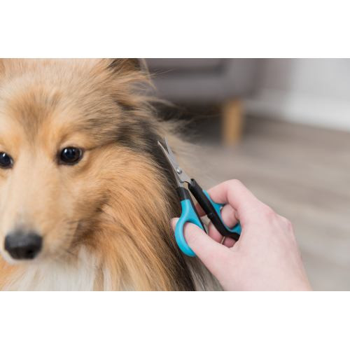 Ножиці Trixie для малих тварин для морди та лап 8 см Київ - фото 4