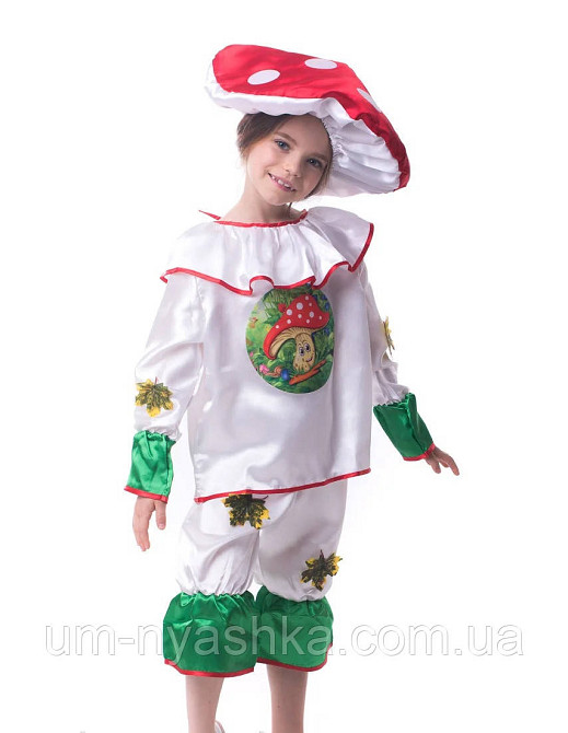 Костюм Мухомора, Карнавальний костюм Мухомор Кривий Ріг - фото 3