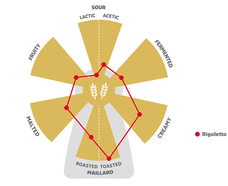 Сухая концентрированная закваска САПОРЕ РИГОЛЕТТО 25kg Павлоград - изображение 2