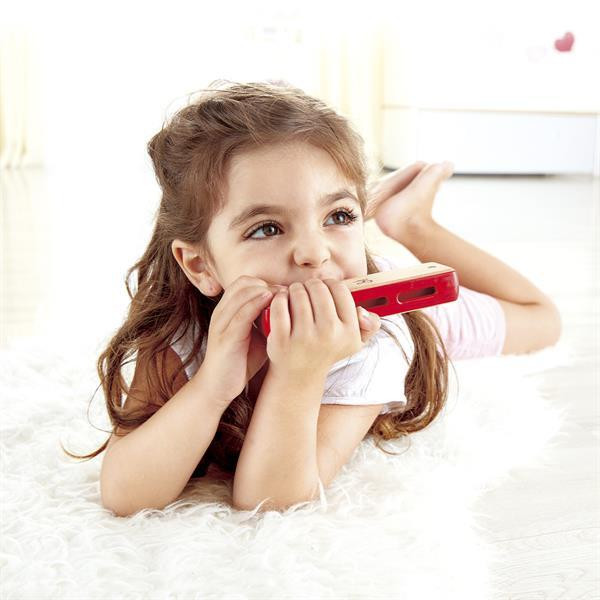 Деревянная гармоника Hape Блюз (E0616) Харьков - изображение 4