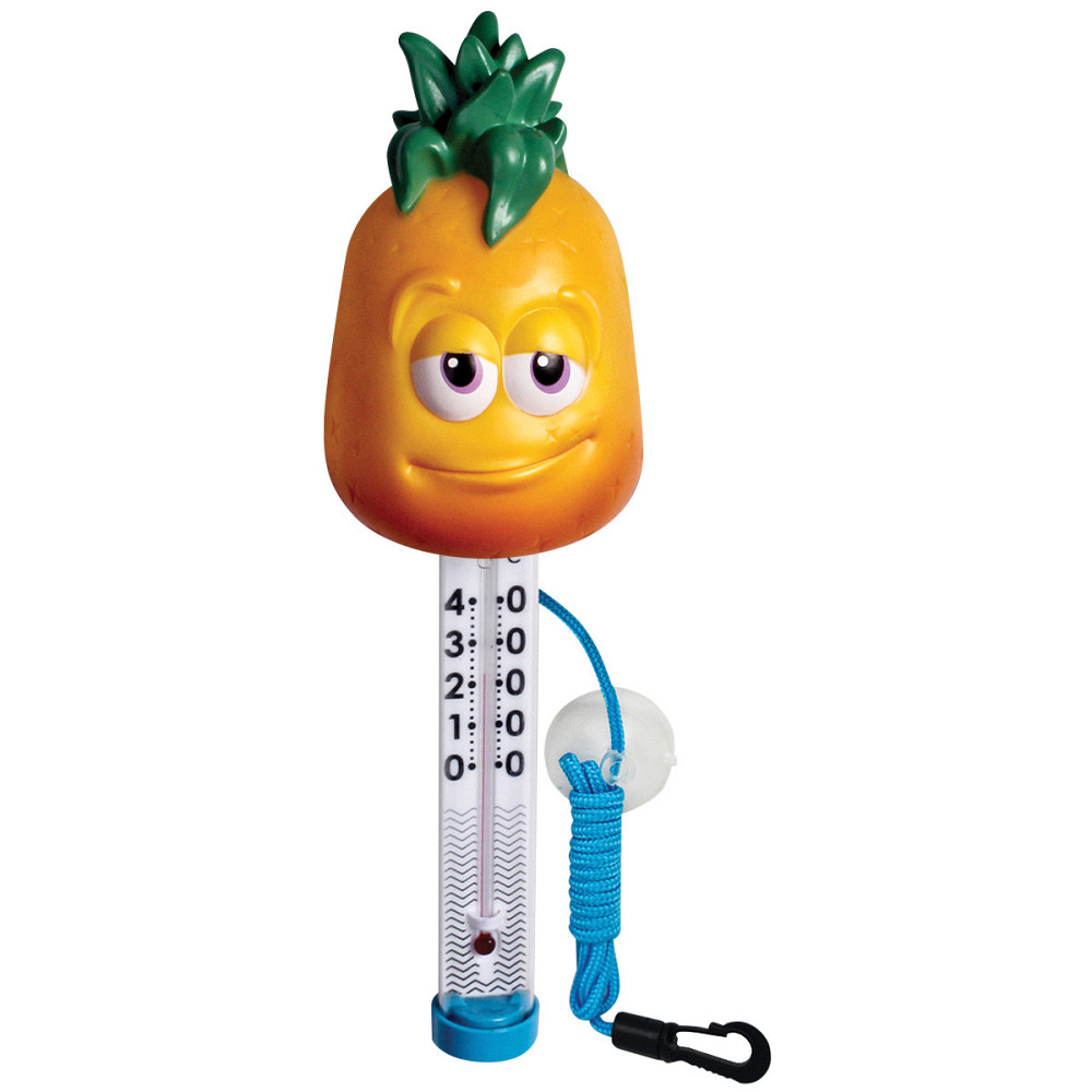 Термометр для бассейна Kokido TM06DIS/C Ананас Киев - изображение 1