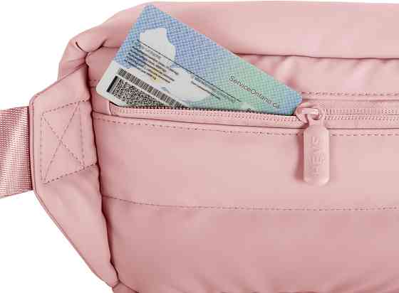 Сумка поясна Heys Puffer Mini Waist Bag Rose (30128-0025-00) Київ
