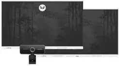 Інтерактивна дошка Myboard Zestaw Interaktywny Panda Duet 75 Київ