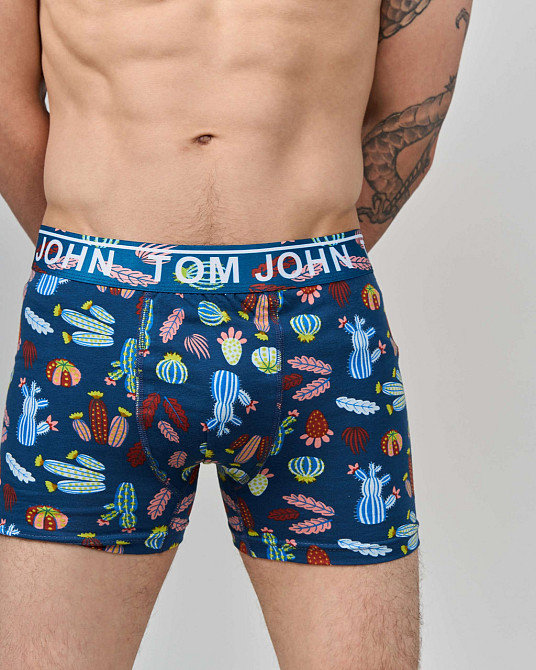 Боксери чоловічі Tom John — Кактуси 2200-17 M Київ - фото 3