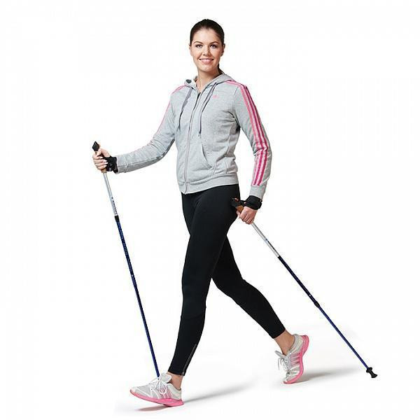 Треккинговые палки для скандинавской ходьбы 2 шт. Feel Fit MS 2019-1-GR Серый Бровары - изображение 2