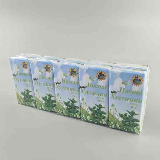 Бyажна хустка Супер Торба М'ята (10 шт.) Харків