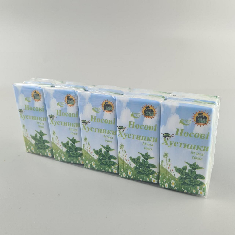 Бyажна хустка Супер Торба М'ята (10 шт.) Харків - фото 1