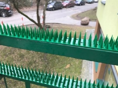 Шипи від птахів і тварин, 0.5 м (висота шипа 3 см) Зелений Київ - фото 2