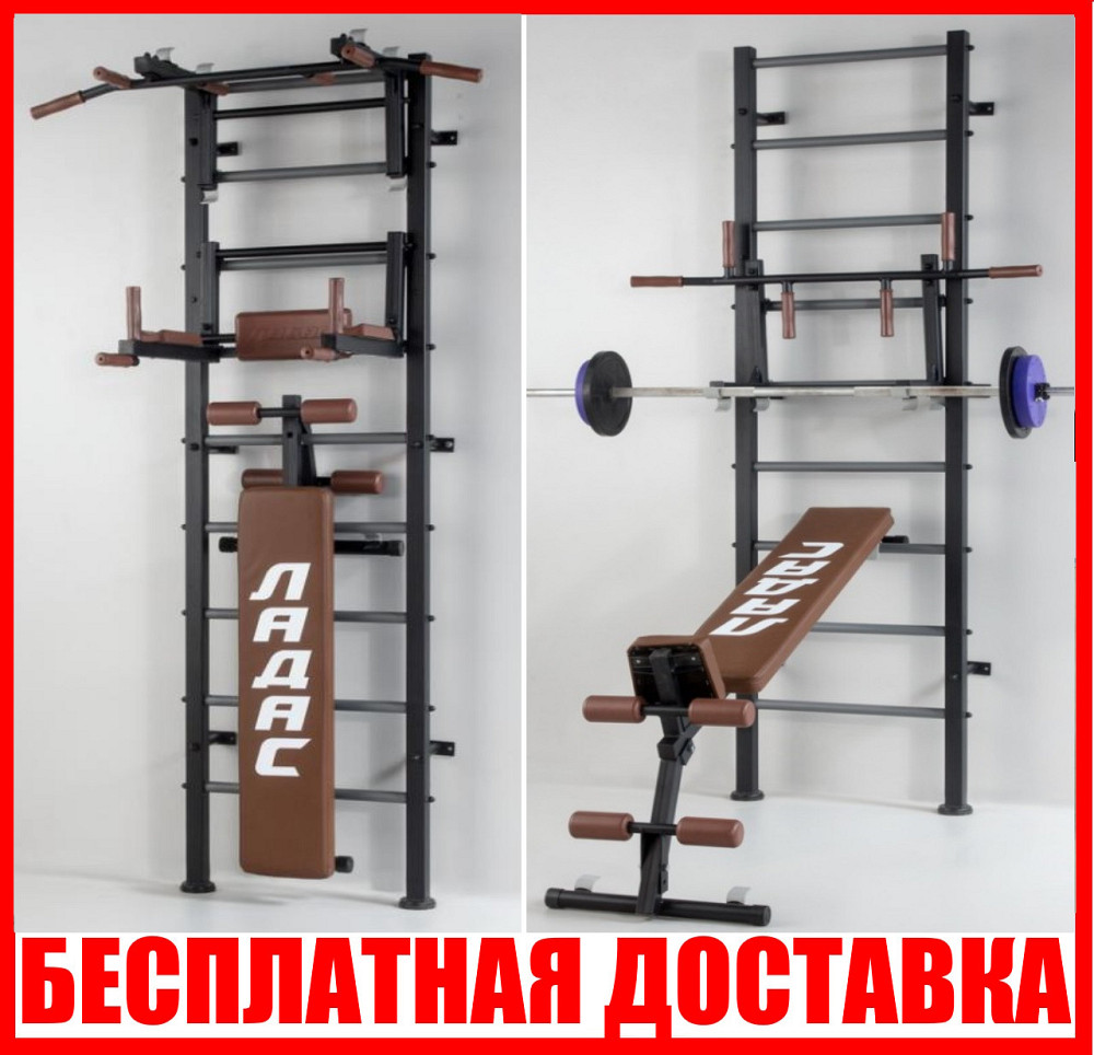 Шведская стенка металлическая в квартиру для детей взрослых разборная усиленная детский спортивный комплекс Каменское - изображение 1