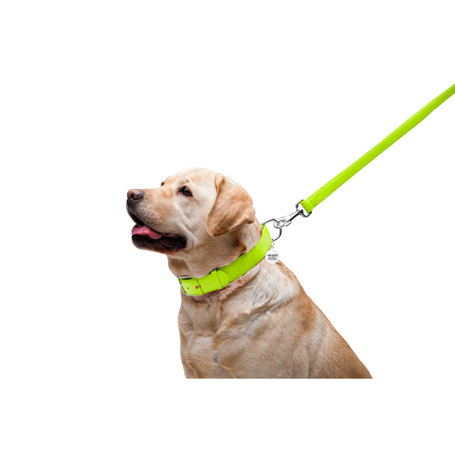 Повідець для собак шкіряний WAUDOG Glamour, Ш 25 мм, Дов 122 см салатовий Коломия - фото 3