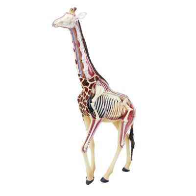 Пазл 4D Master Об&apos;ємна анатомічна модель Жираф (FM-622011) Вінниця