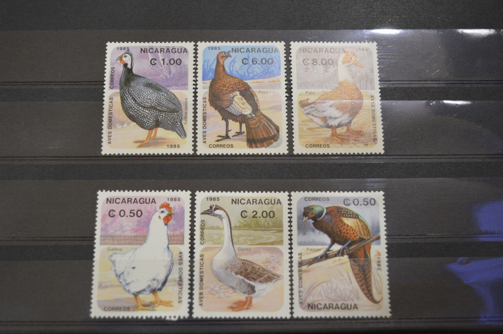 Никарагуа. Фауна. Серия Полтава - изображение 1