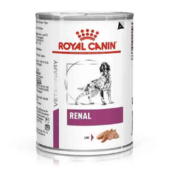 Royal Canin Renal Canine (Рояв Кенін Ренал Канін) вологий корм для собак при захворюваннях нирок 0,410 кг. Запоріжжя
