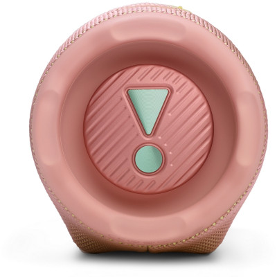 Акустическая система JBL Charge 6 Pink (JBLCHARGE6PINK) Винница - изображение 5
