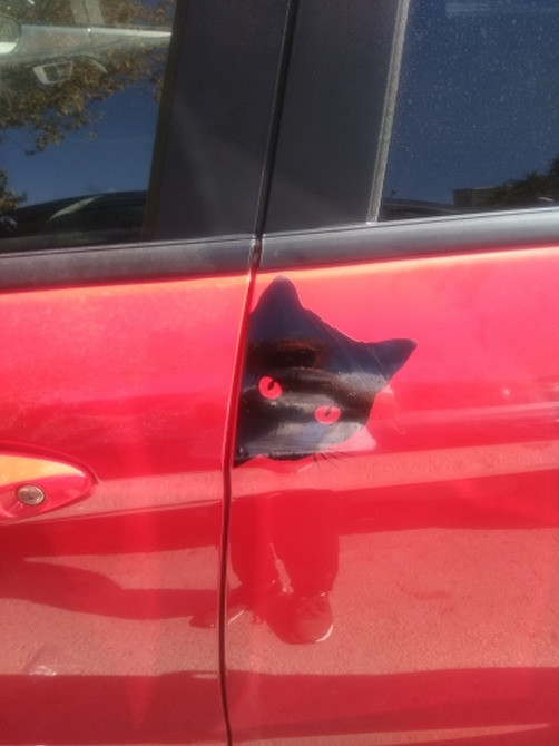 Наклейка на авто Вовк, Кіт, Чорна Київ - фото 2