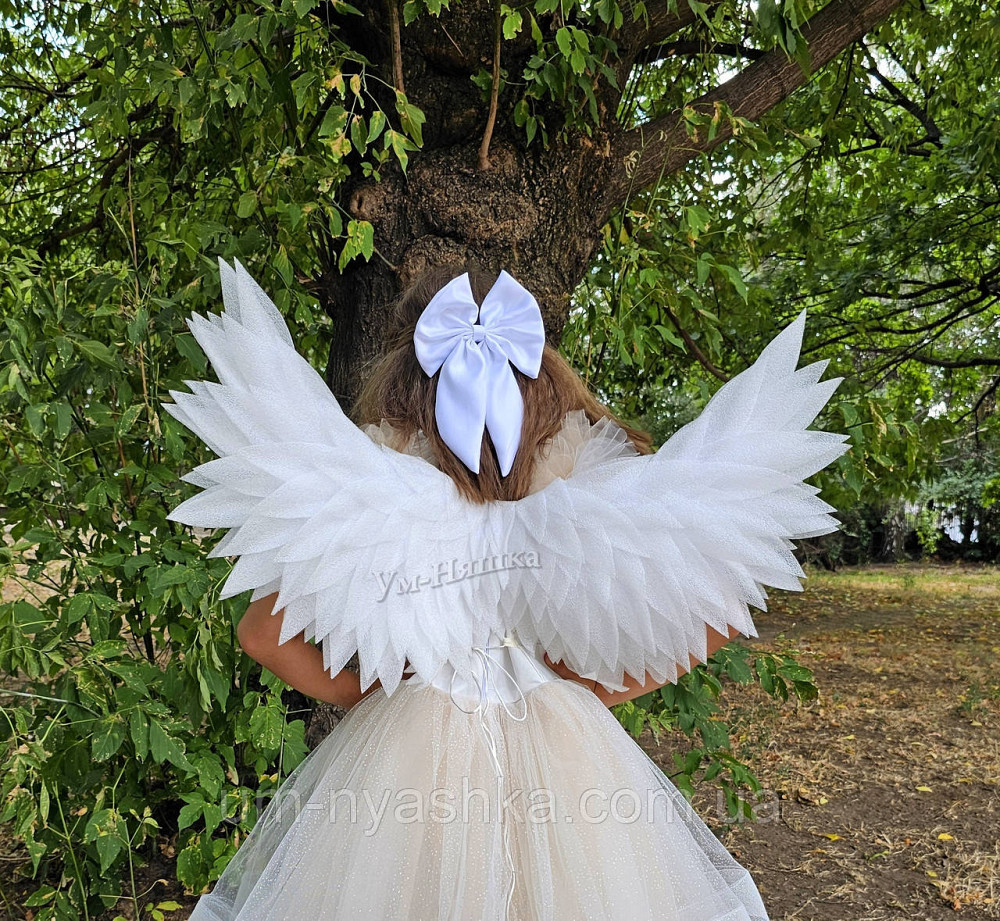 Червоні Крила середні Кривий Ріг - фото 3