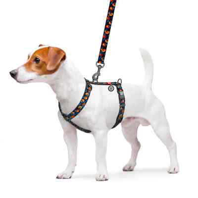 Шлей для собак WAUDOG Nylon анатомическая H-образная с QR-паспортом "Апельсины" пластиковый фастекс, L (345-4054) Винница