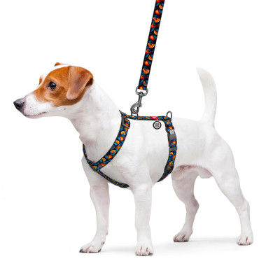 Шлей для собак WAUDOG Nylon анатомическая H-образная с QR-паспортом "Апельсины" пластиковый фастекс, L (345-4054) Винница - изображение 3